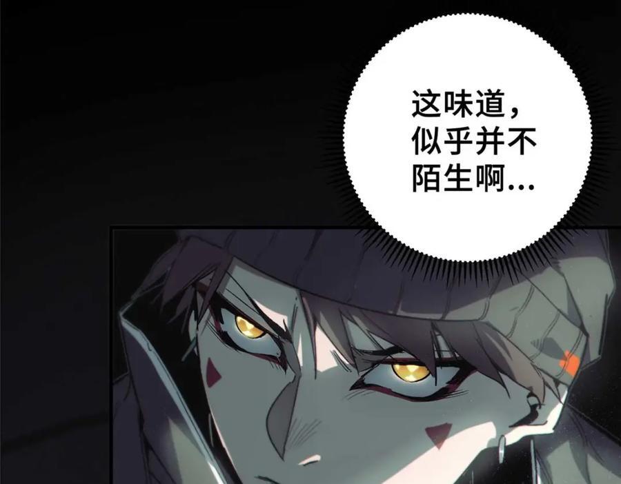 17 天坑苔藓83