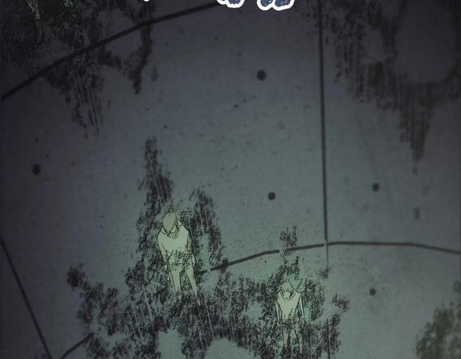 17 天坑苔藓86