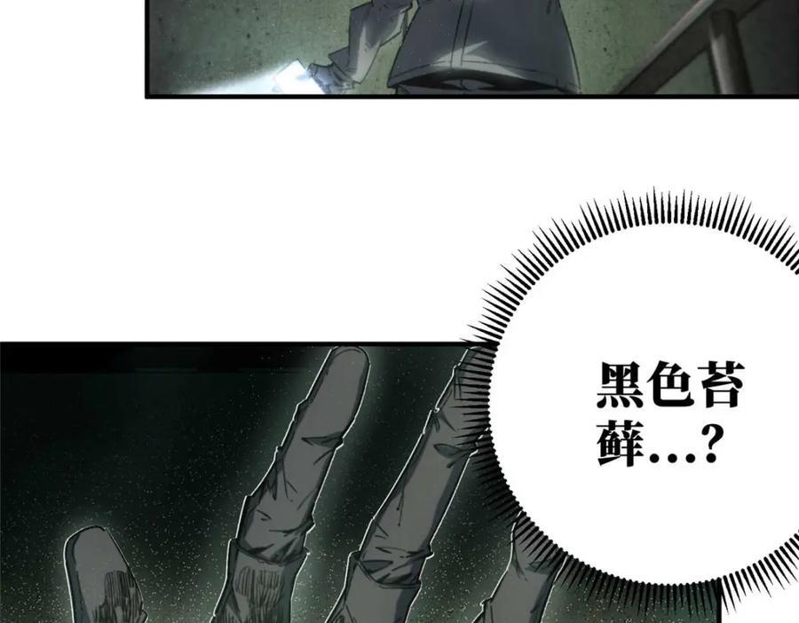 17 天坑苔藓77