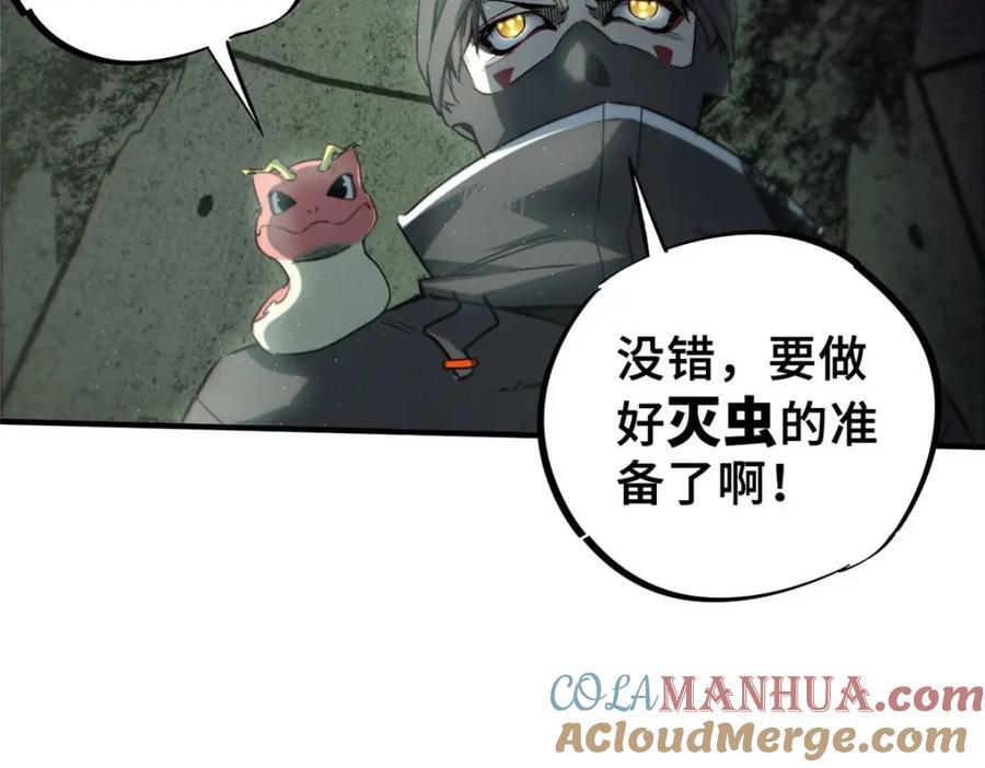 17 天坑苔藓104