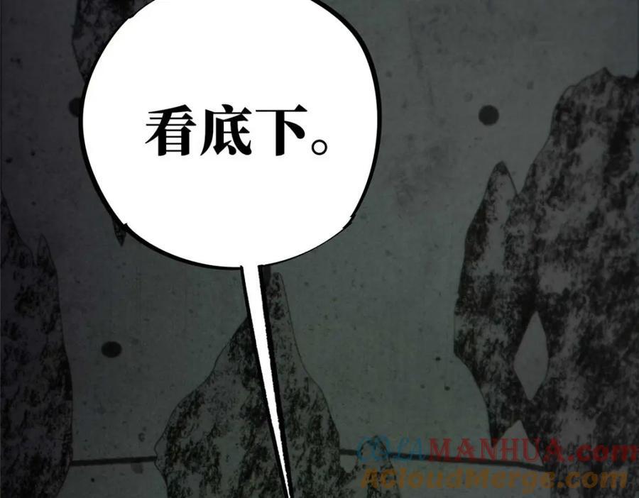 17 天坑苔藓124
