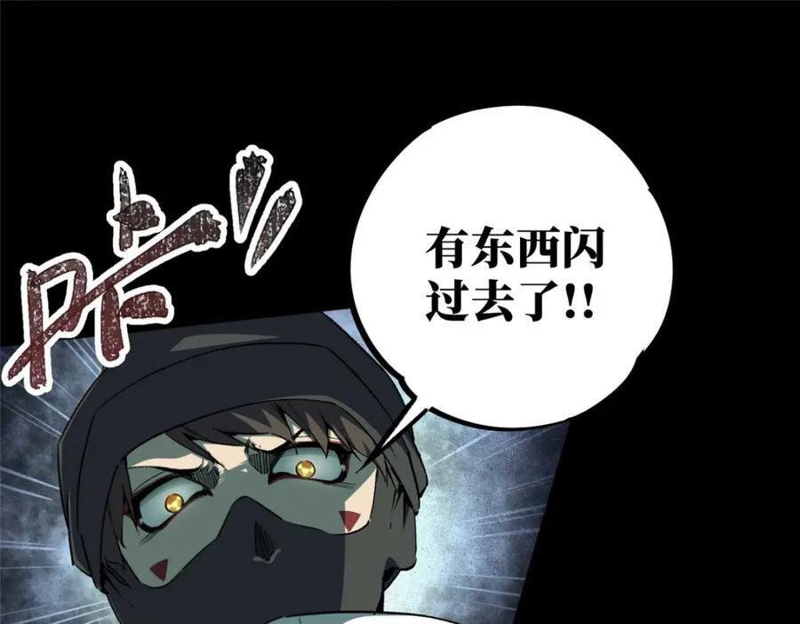 17 天坑苔藓139