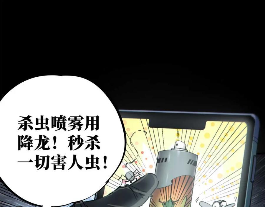17 天坑苔藓110