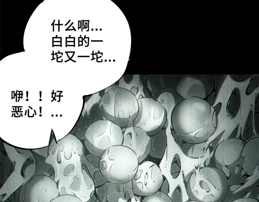17 天坑苔藓130