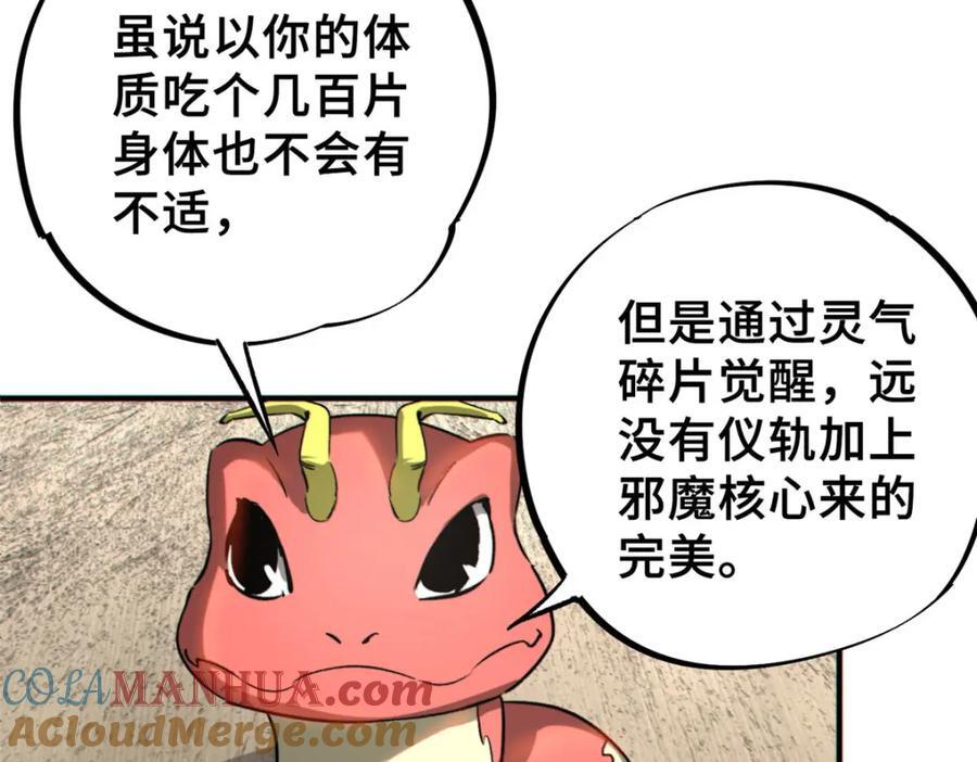 14 灵气碎片80
