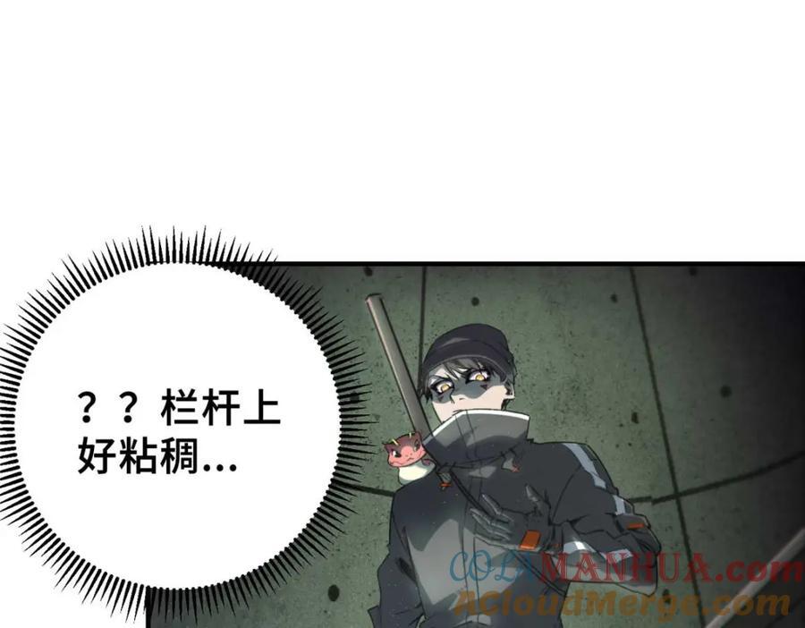 17 天坑苔藓76