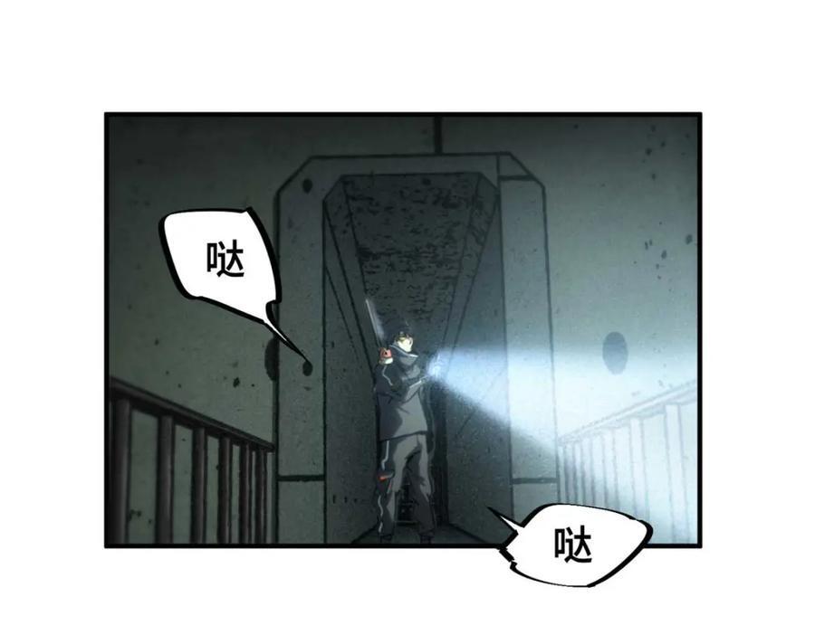 17 天坑苔藓65