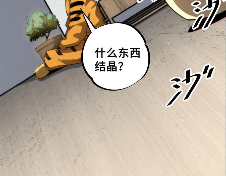 14 灵气碎片53