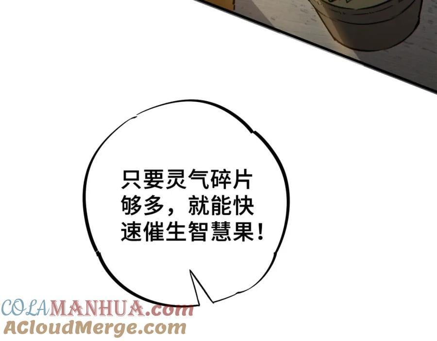 14 灵气碎片100