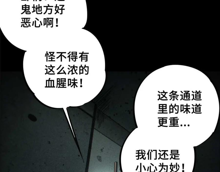17 天坑苔藓53