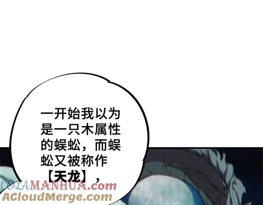19 活体虫草40