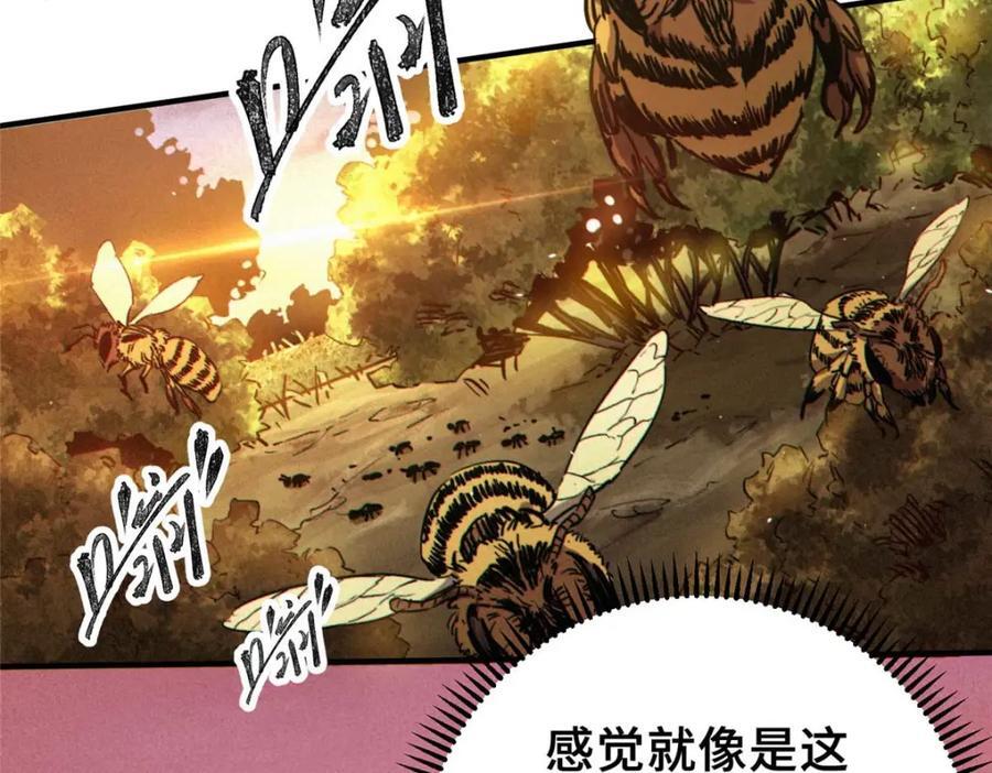 24 天赋191
