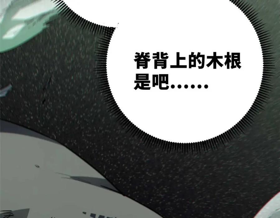 19 活体虫草67