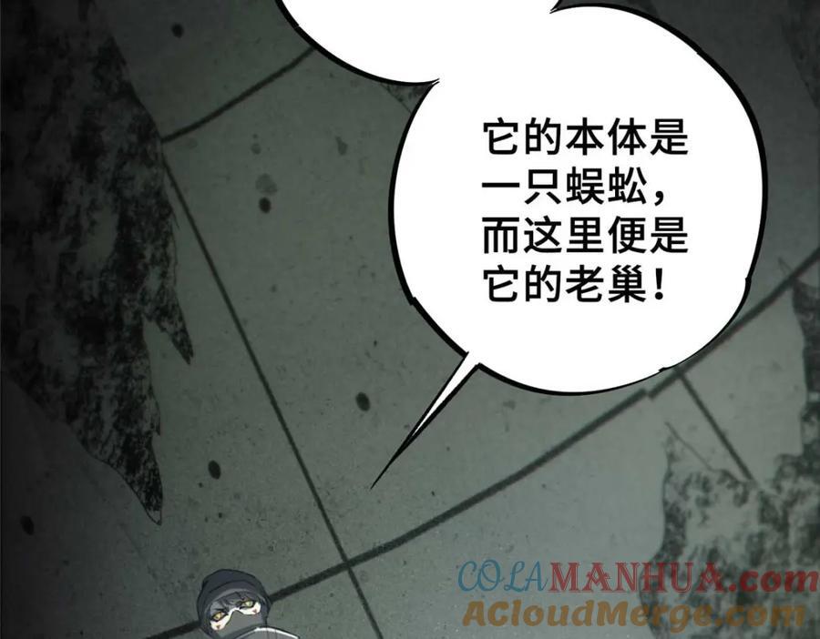 17 天坑苔藓100