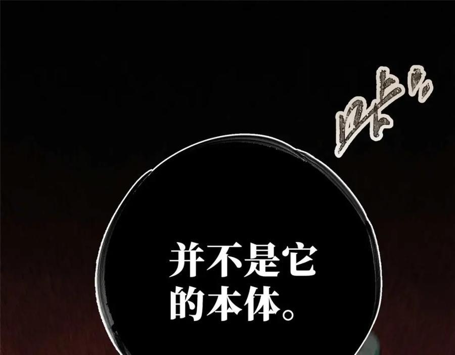 19 活体虫草34