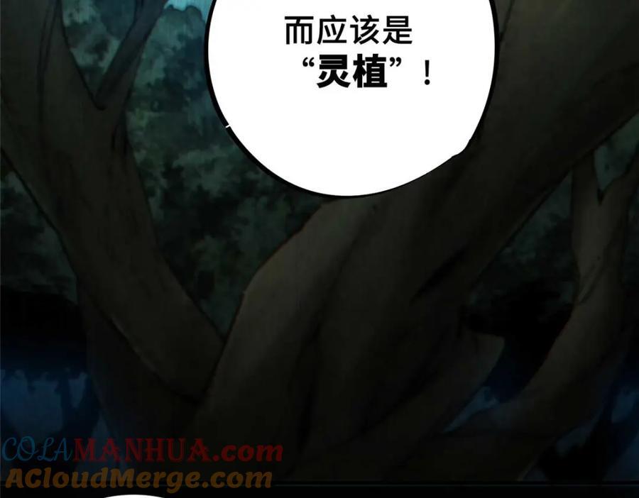 19 活体虫草44