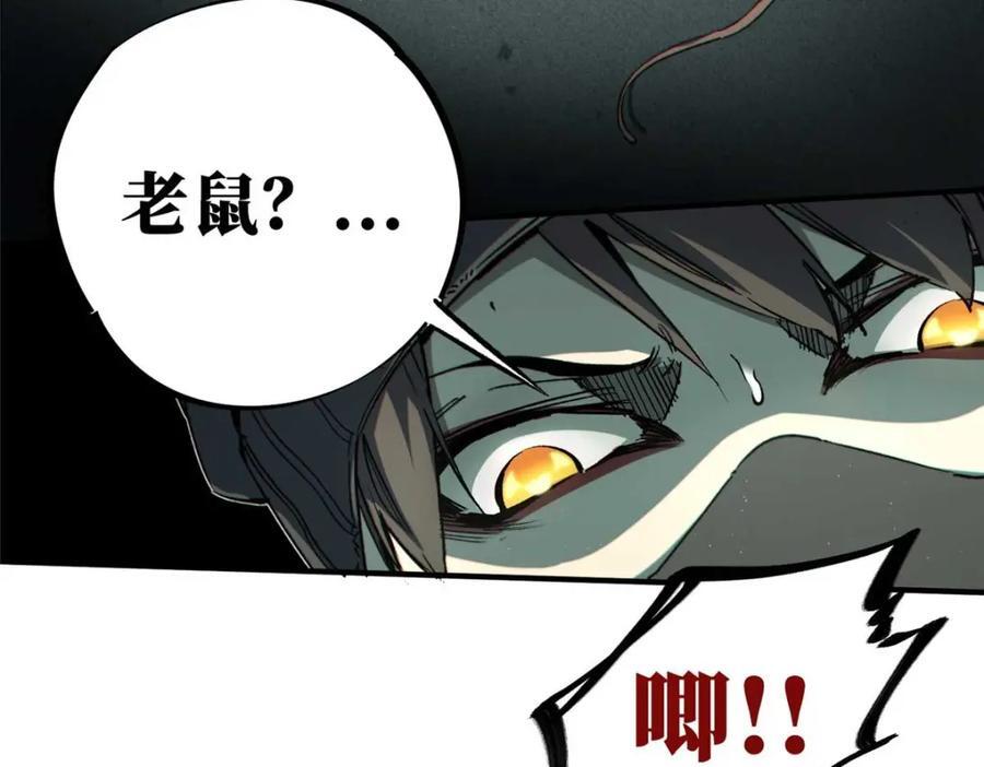 17 天坑苔藓29