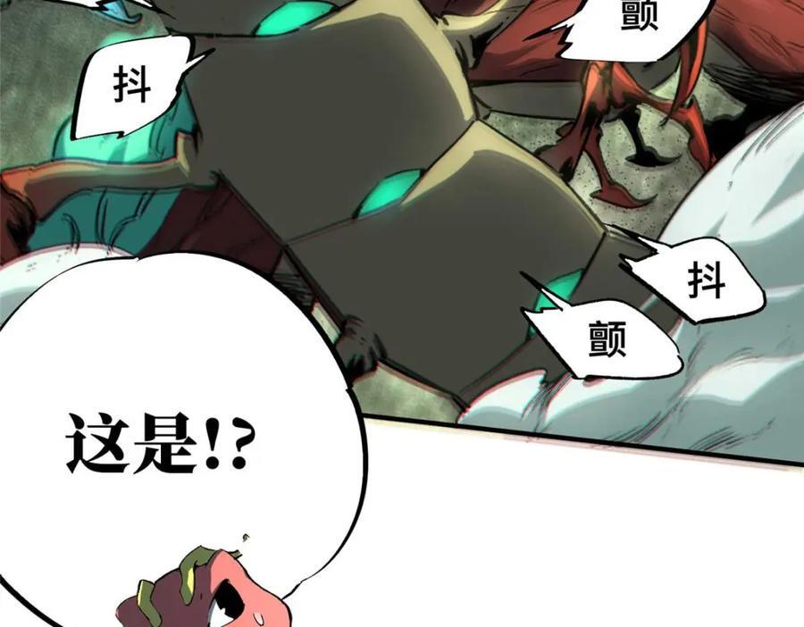 19 活体虫草26