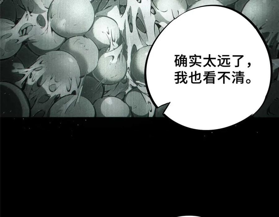 17 天坑苔藓131