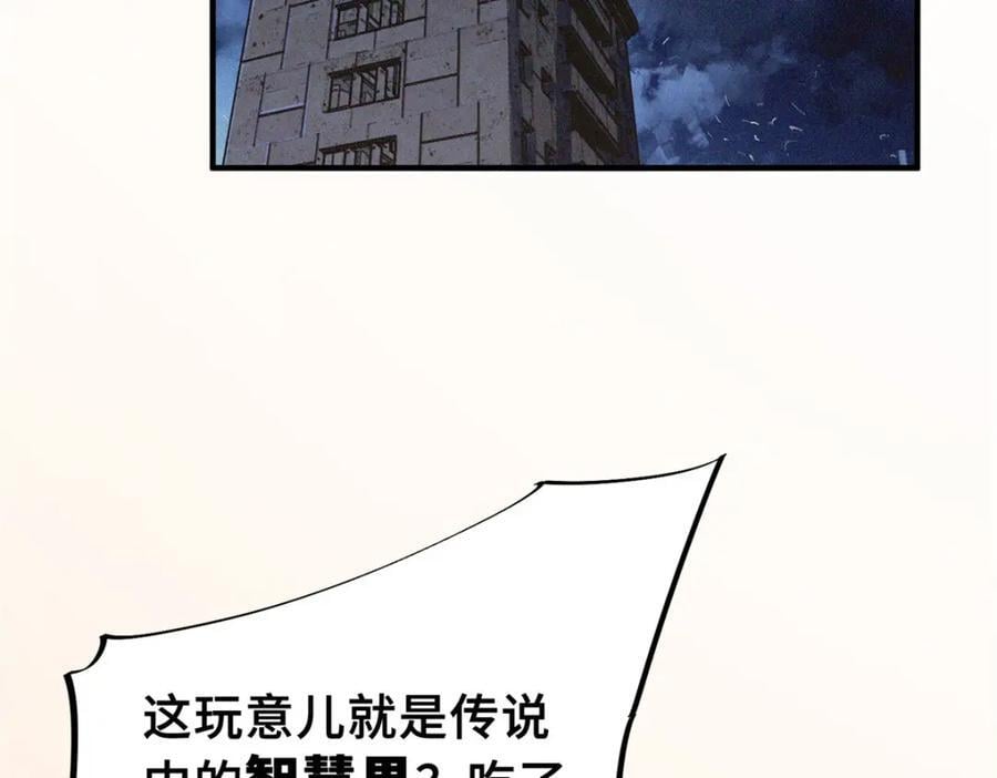 11 智慧果5