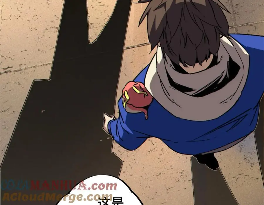 26 世界映射88