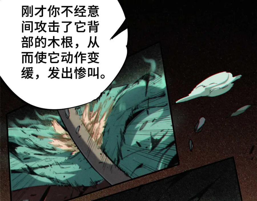 19 活体虫草46