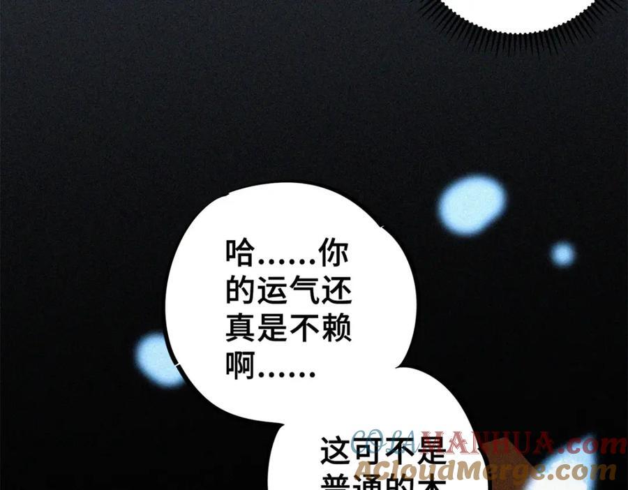 10 灵气复苏84