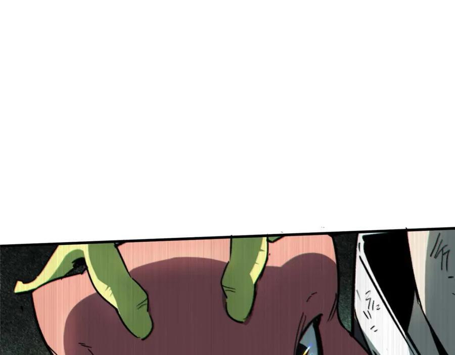 19 活体虫草50