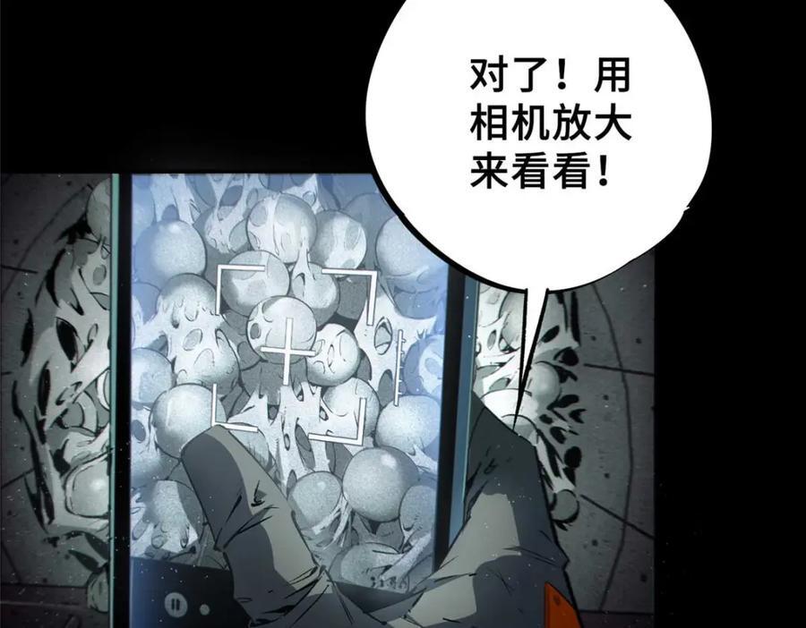17 天坑苔藓133