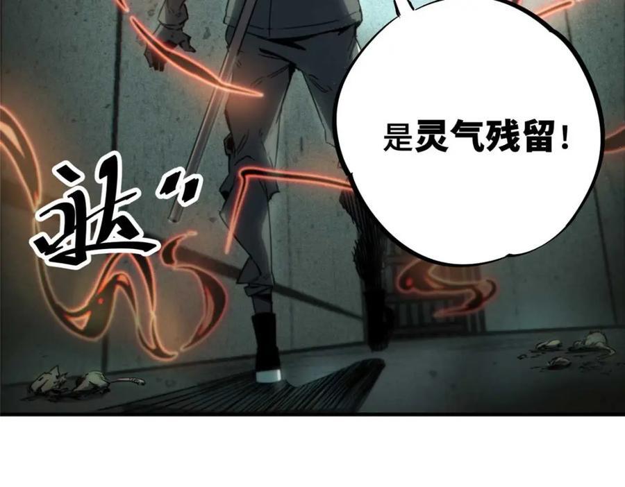 17 天坑苔藓59