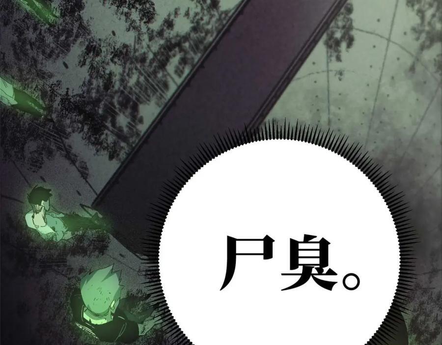 17 天坑苔藓89