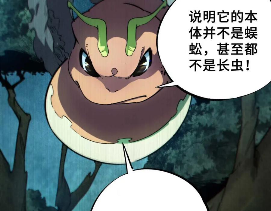 19 活体虫草43