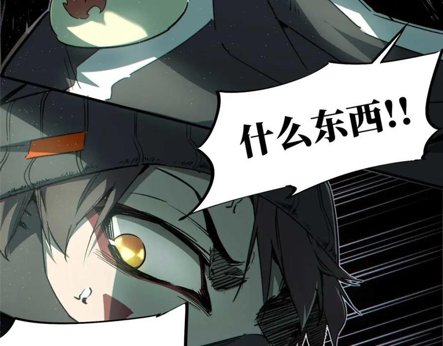 17 天坑苔藓19