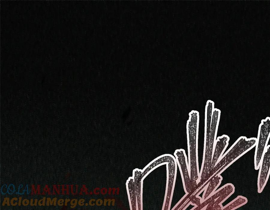 19 活体虫草4