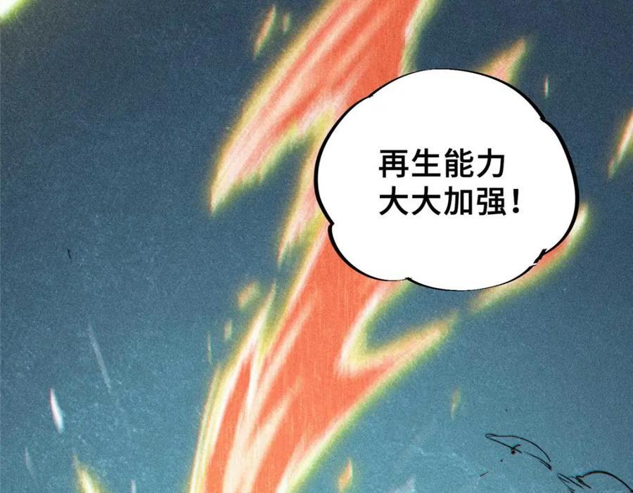 24 天赋29