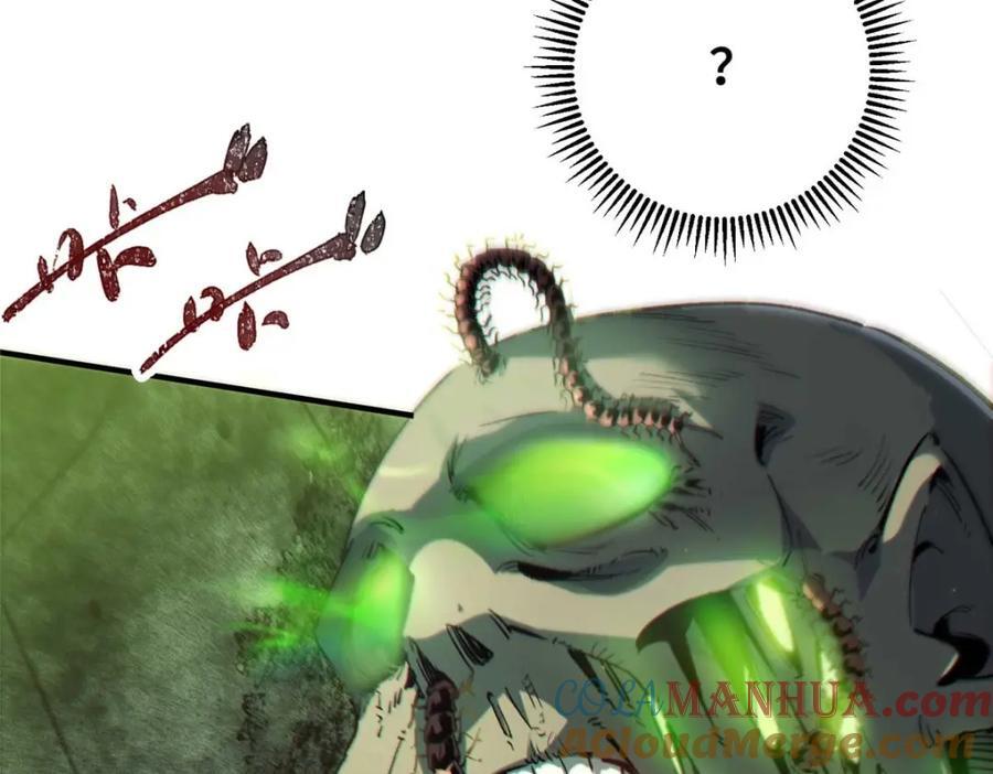 17 天坑苔藓92