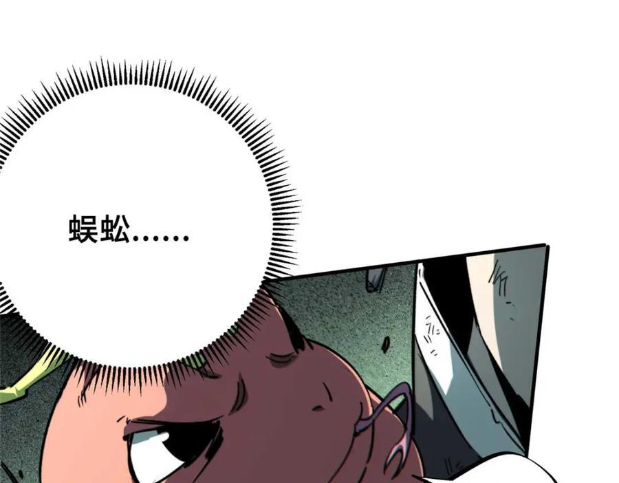 19 活体虫草31