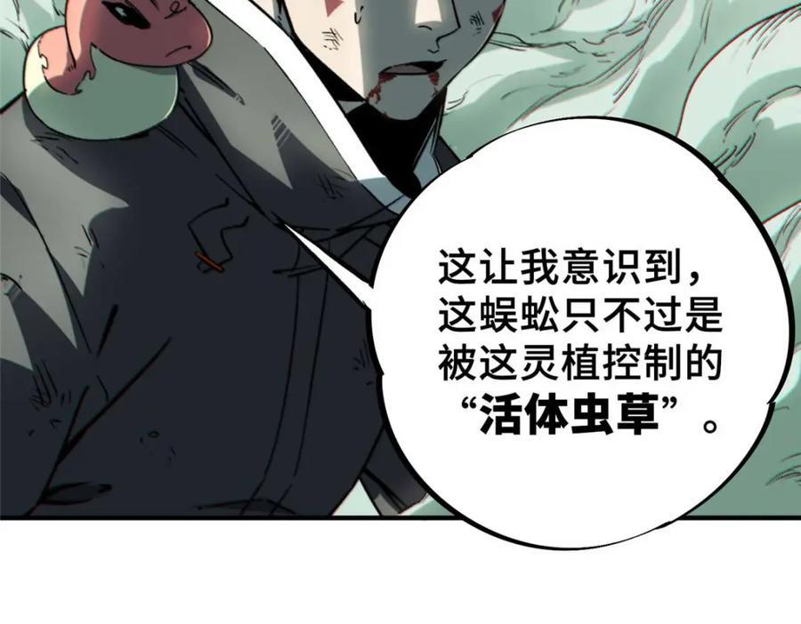 19 活体虫草49