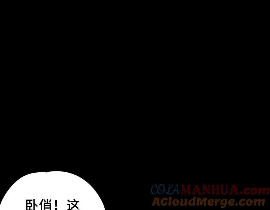 17 天坑苔藓52