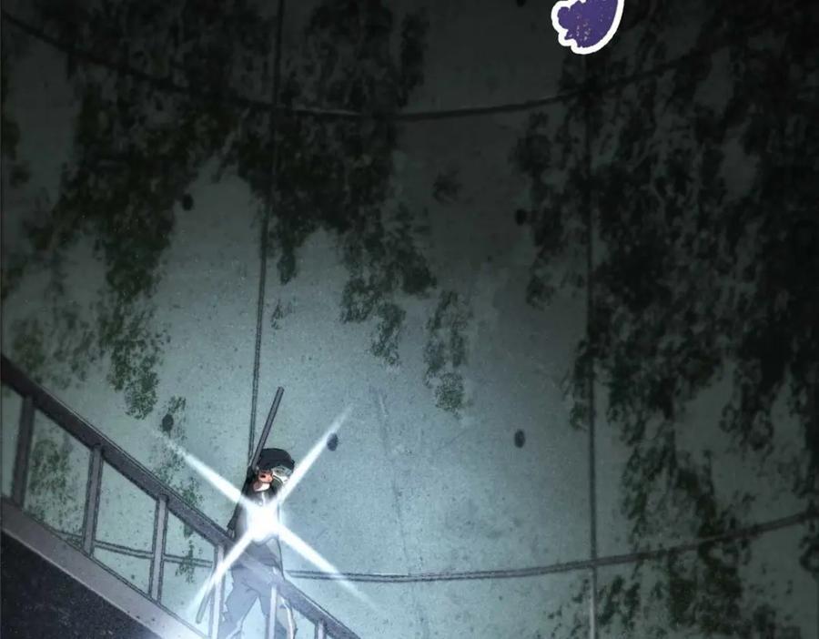 17 天坑苔藓70