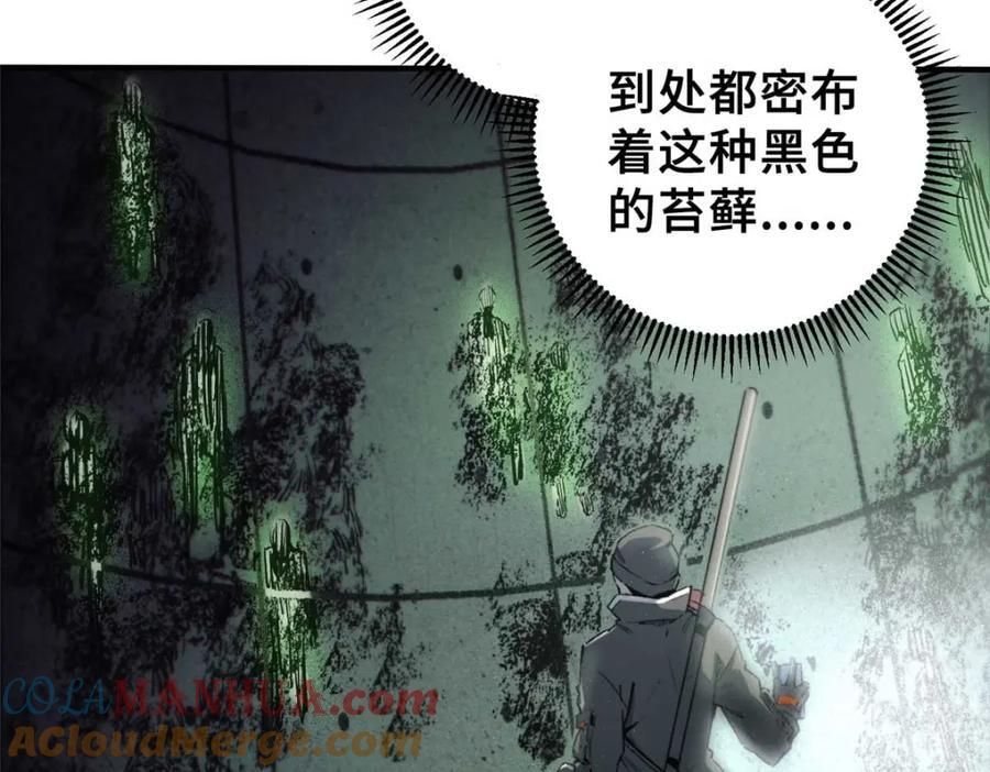 17 天坑苔藓80