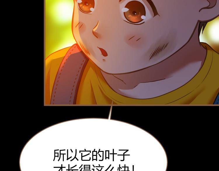 番外 小树苗17
