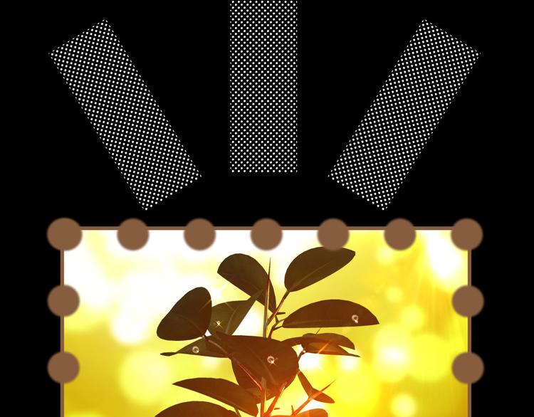 番外 小树苗11