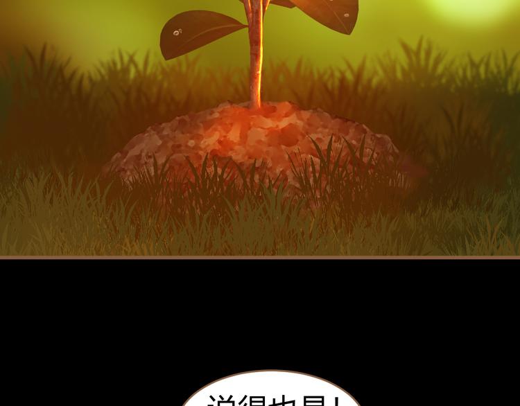 番外 小树苗33