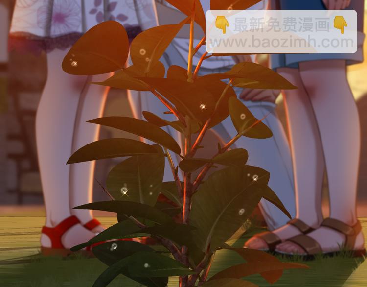 番外 小树苗54