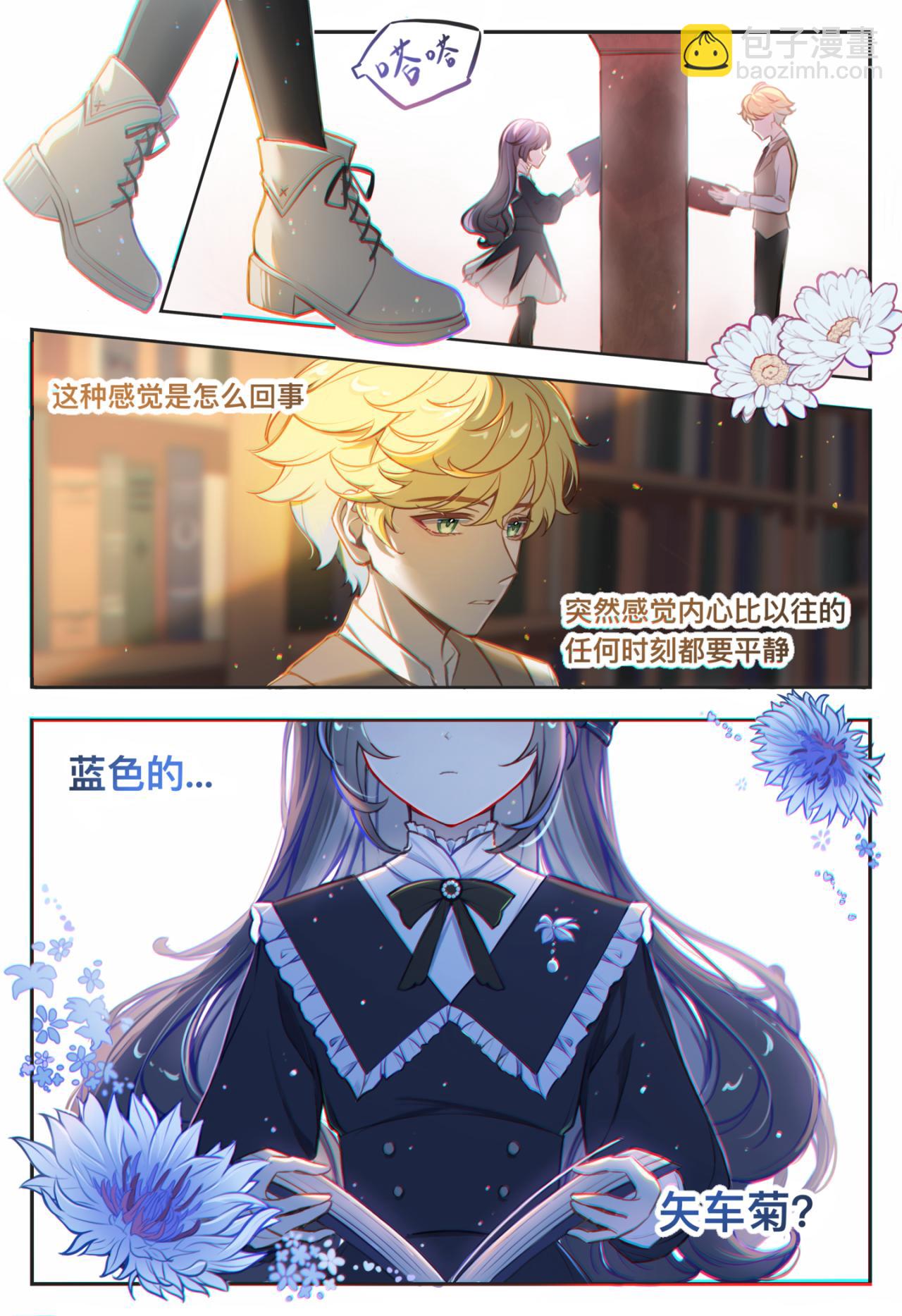 02 蓝色矢车菊11