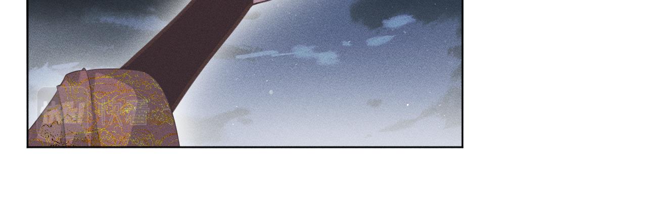 第一花81