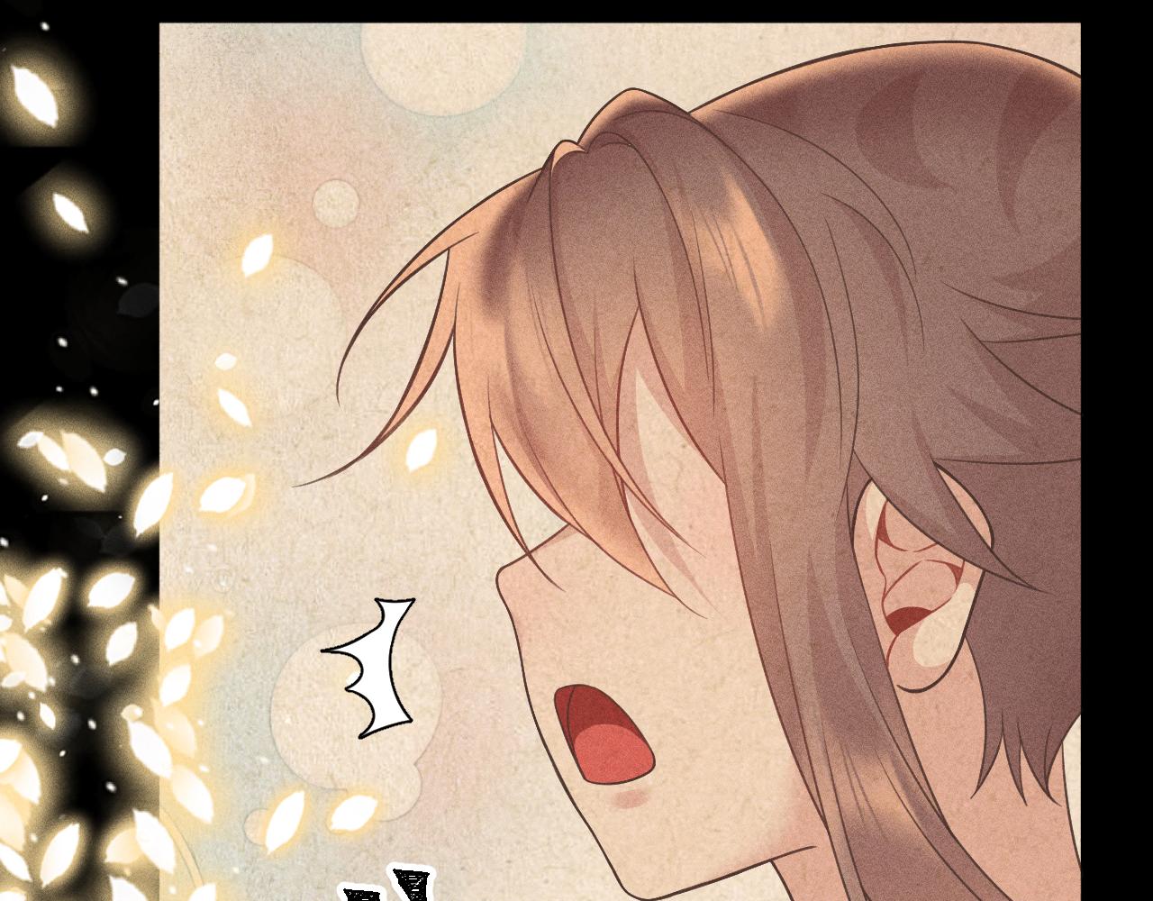 第三花43