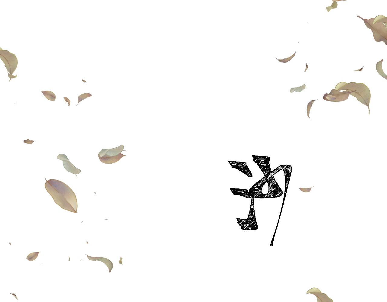 第一花41