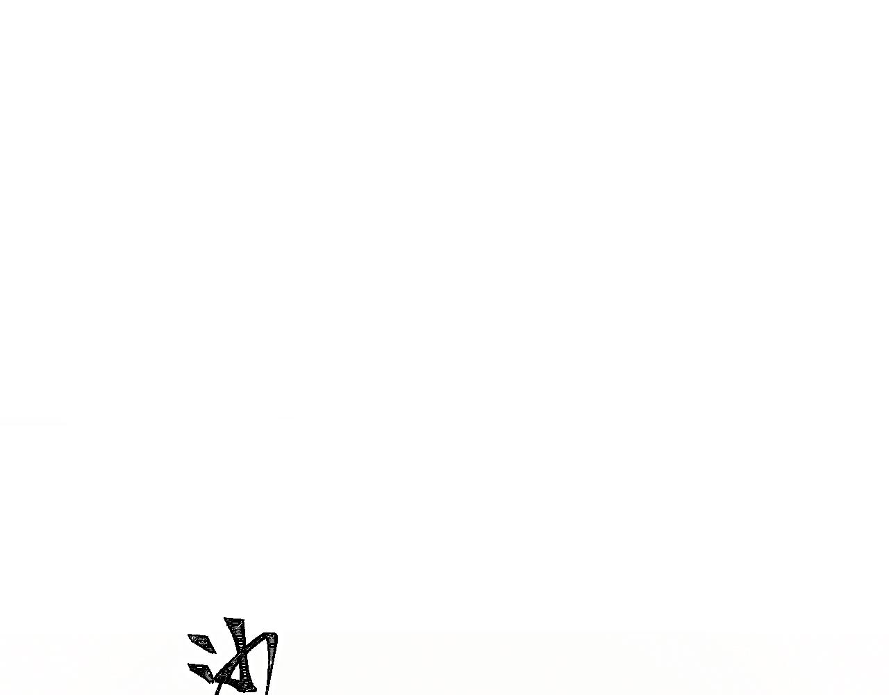 第二花43